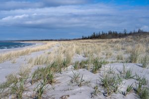 20240325 DSC 2609 300x200
