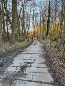 Weg durch den Wald, der noch ohne Blätter ist. Der Weg besteht aus alten, teilweise gebrochenen Betonplatten, umgangssprachlich Panzerplatten